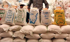 قیمت برنج از کنترل خارج شد | دولت دست بسته تماشا می‌کند!