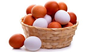 تخم مرغ‌ هم از سبد ایرانی ها پر کشید!