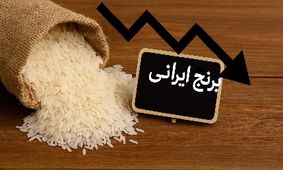 شوک به بازار: قیمت برنج به مرز ۴۰۰ هزار تومان رسید!