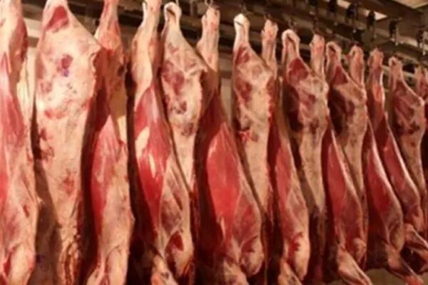 جدیدترین قیمت یک دست کله و پاچه در بازار / جگر چند ؟!