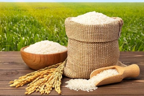 جولان برنج در بازار معیشتی مردم ؛ برنج طارم در صدر گرانی‌ها !