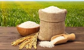 جدیدترین قیمت برنج ایرانی در شهریور ۱۴۰۴/ برنج هاشمی کیلویی چند؟