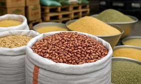 آخرین قیمت لوبیا چیتی اعلام شد - ۲۹ تیر