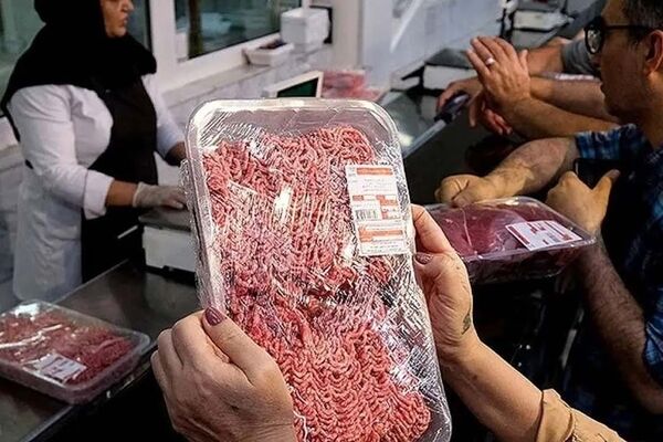  گوشت به زودی ارزان می‌شود؟ 