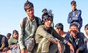 دولت در تدارک اخراج اتباع غیرمجاز؛ طرح شناسایی سراسری کلید خورد