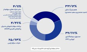 دیجی‌کالا با انتشار ساختار سهام‌داری خود اعلام کرد: سهام‌دار حاکمیتی نداریم
