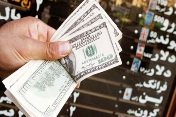 بانک مرکزی در سقوط ارزش پول ملی منفعل عمل کرده است/ ضعف تیم اقتصادی دولت عامل اصلی تشدید تورم است