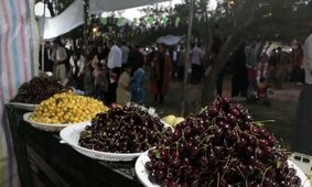 گیلاس هم به جمع میوه‌های لوکس بهاری پیوست / قیمت میلیونی در بازار میوه !