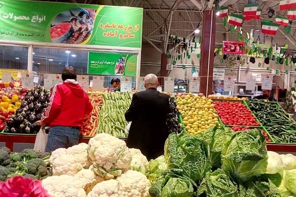 سالاد لاکچری شد! قیمت میوه و تره‌بار داغ روی سفره مردم