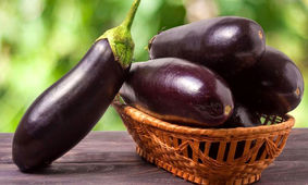 قیمت بادمجان سیب زمینی را جا گذاشت!