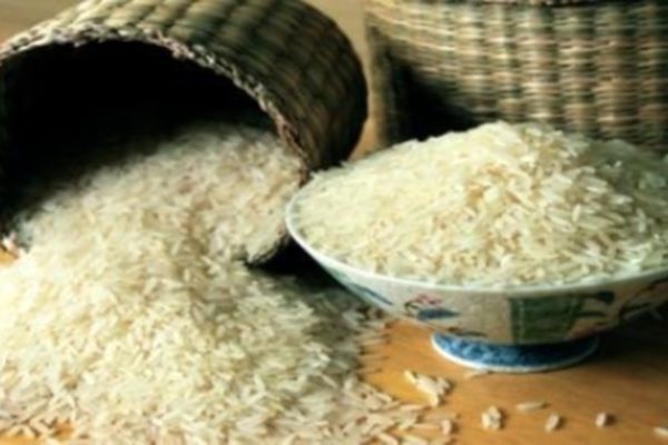 درهای واردات برنج باز شد؛ ممنوعیت فصلی لغو شد!