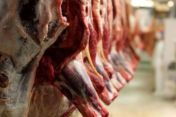گوشت تنظیم بازاری کجا توزیع می‌شود؟/ قیمت گوشت به 385 هزار تومان رسید!