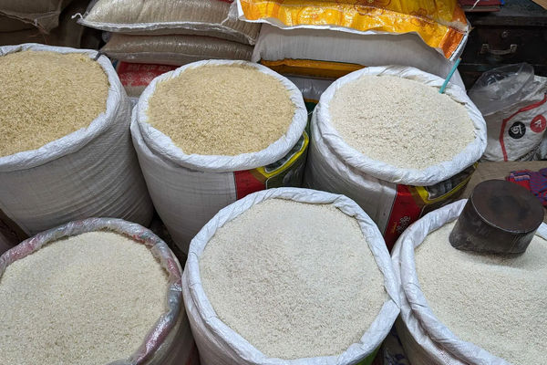  خطر بزرگ بیخ گوش بازار برنج شب عید 