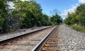 آمار جدید: رشد ۴ درصدی زائران حرم امام رضا (ع)