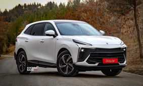 عجیب ترین قیمت لاماری در بازار تیرماه
