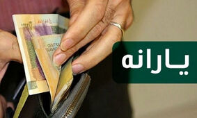  با کد دستوری زیر از دولت یارانه معیشتی 1/200/000 تومانی بگیرید
