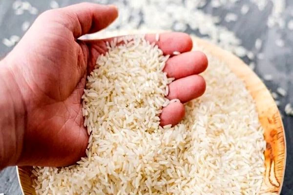 خبر فوری: برنج در ایران ارزان شد، قیمت‌ها شکسته شد!