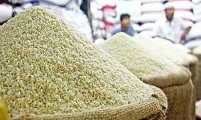 قیمت جدید برنج پاکستانی اعلام شد / آیا برنج پاکستانی ضرر دارد؟
