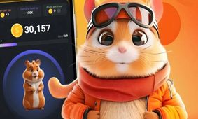 کامبوی‌ جدید امروز همستر / کارت‌های امروز ۲۸ تیرماه 