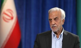 هاشمی‌طبا: اصلاحات ساختاری نیازی به تغییر قانون اساسی ندارد