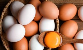 قیمت تخم‌ مرغ و شانه تخمه‌ مرغ محلی امروز/ اول شهریور ۱۴۰۴