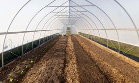 سهمیه گازوییل زیر سایه گلخانه‌های اجاره‌ای/ افغان‌ها در نقش اصلی +جزییات