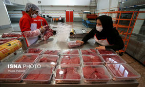 هدیه دولت به ملت!/ احتمال رسیدن گوشت منجمد وارداتی به زیر ۳۰۰ هزار تومان