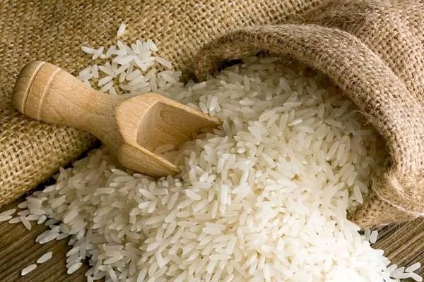 ریزش قیمت برنج در راه است 
