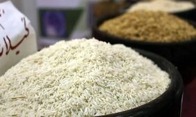 بازار برنج در شوک تصمیم دولت/ نابودی در راه است!