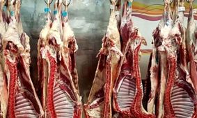 جدیدترین قیمت گوشت قرمز امروز ۲۲ مهر 1404 اعلام شد + جدول