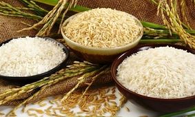 قیمت روز برنج هندی ۲۶ مرداد ۱۴۰۴ | مقایسه برنج هایلی، طبیعت، خاطره + جدول