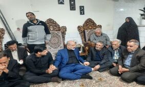 نهمین عضو خانواده سلطانی‌نژاد شهید شد
