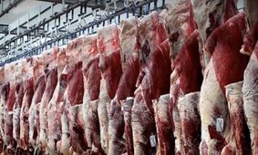حذف یارانه گوشت قرمز/ گوشت کنیایی گران‌تر از همیشه!