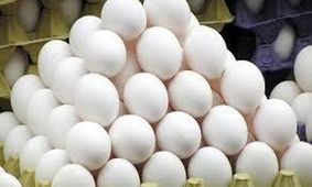 شوک قیمتی به بازار مواد غذایی/ تخم‌مرغ به مرز ۳۰۰ هزار تومان رسید!