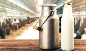 خبر فوری/ قیمت جدید شیر اعلام شد!