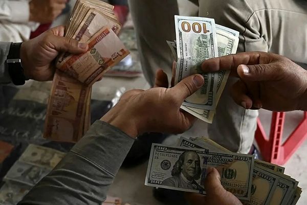 قیمت افغانی امروز شنبه 22 آذر 1404