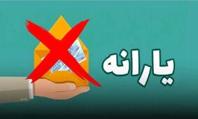 علت اصلی حذف یارانه این افراد مشخص شد+ 4 عامل