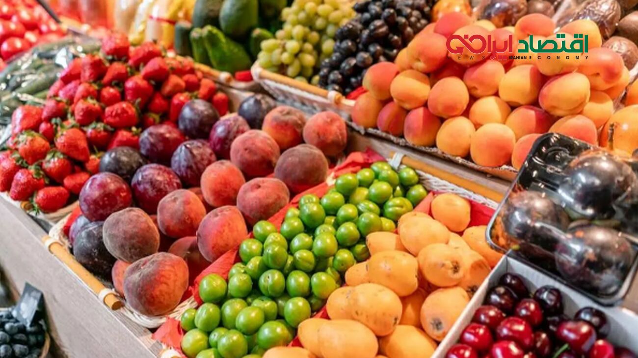 شوک به صادرات کشاورزی ایران؛ ماجرای ۲۰۰ کانتینر برگشتی چیست؟