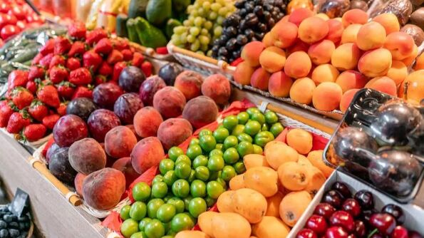 شوک به صادرات کشاورزی ایران؛ ماجرای ۲۰۰ کانتینر برگشتی چیست؟