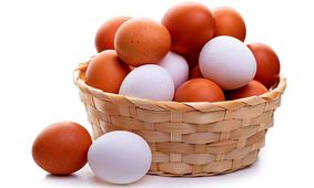 جدیدترین قیمت تخم مرغ مهر ۱۴۰۴/ هر شانه تخم مرغ چند؟ + جدول دقیق