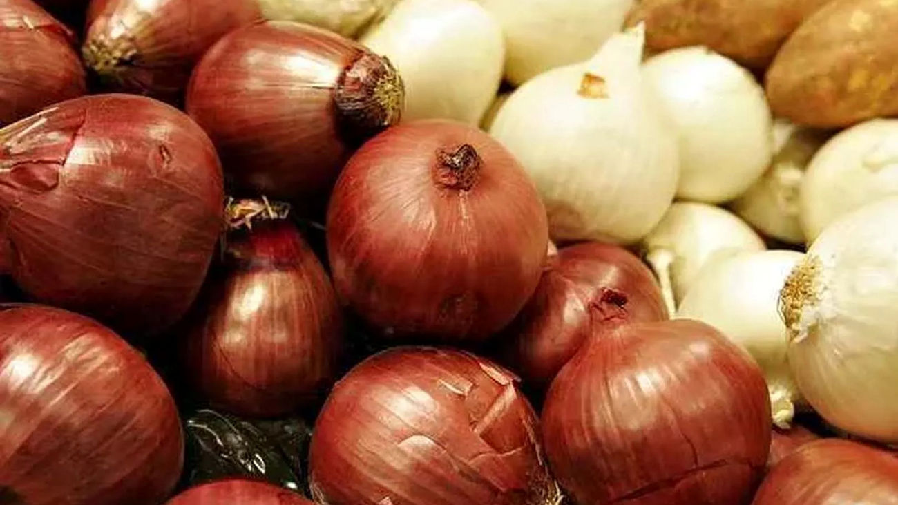 پیاز نخرید به زودی ارزان میشود
