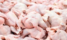 قیمت جدید مرغ در بازار چقدر است؟